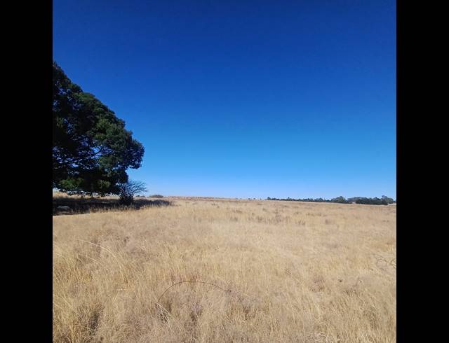 8.50HA VACANT LAND FOR SALE IN WITKOP